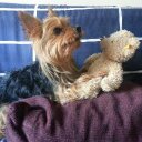 walter vanegas - @Waltervanegass - Twitter