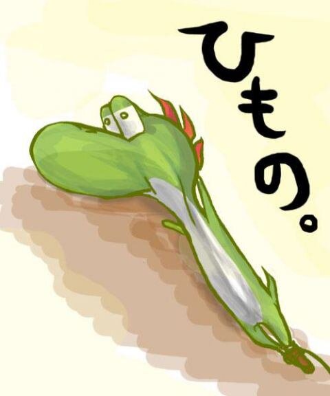 やってません！
