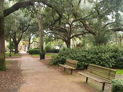 WiebeSuccess's profile picture. 3-man Real Estate Team, Family, Residential and Commercial Real Estate with Mopper Kelly Realtors in Beautiful Savannah, GA