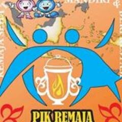 PIK-R : Pusat Informasi Komunikasi - Remaja Sma Negeri 1 Tamiang Layang