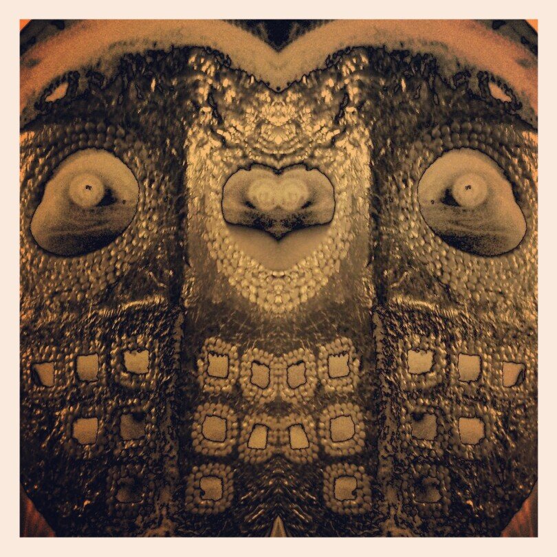 C_D_F_H_'s profile picture. сошедший с небес/came down from heaven