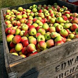 Crisp Apples. Homemade Cider. Warm Apple Cider Donuts. Family Tradition.  Winnebago, IL