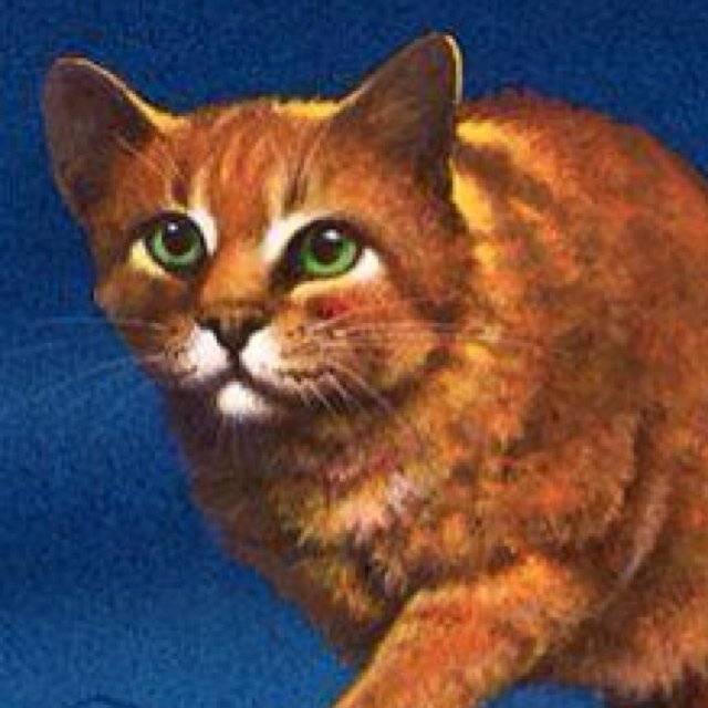 Im the fucking main character #KittyPetSwag thunderclan motherfucker