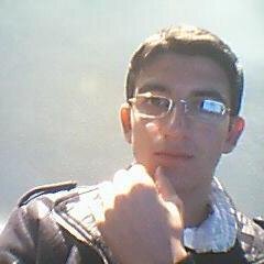 Alanhamo532's profile picture. 