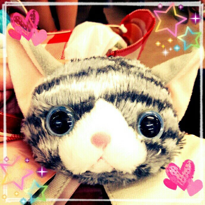朝霧☆🔰☆石ﾎﾟﾁ禁!!!!!!!😣(しような！自分！！←…撃沈中←)ﾒﾝﾀﾙ激落ち中さんのプロフィール画像