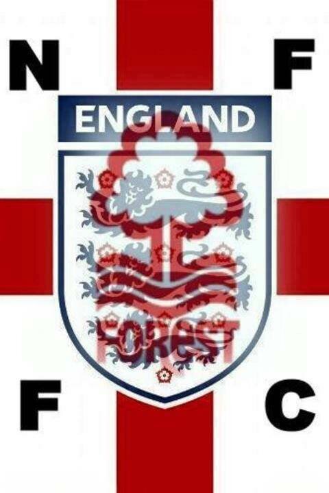 divorced  with 4&1/2 kids, ardent Forest fan. hate D*rby