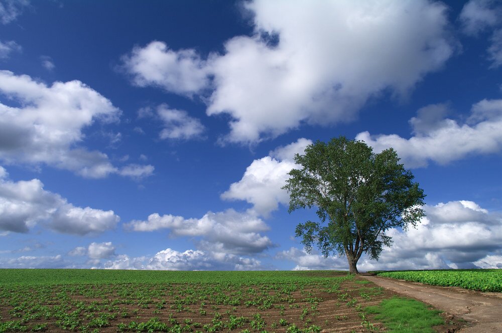 krtethics's profile picture. 趣味は人生の意味について考えることです