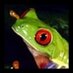 Not You (@fortunehopper) Twitter profile photo Not You (@fortunehopper) Twitter profile photo
