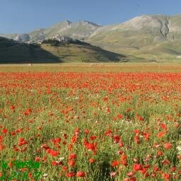 Castelluccio di Norcia,  il tetto dell'Umbria