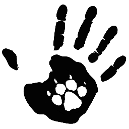Dark Dog Entertainment is comprised of specialized professionals working in the entertainment industry