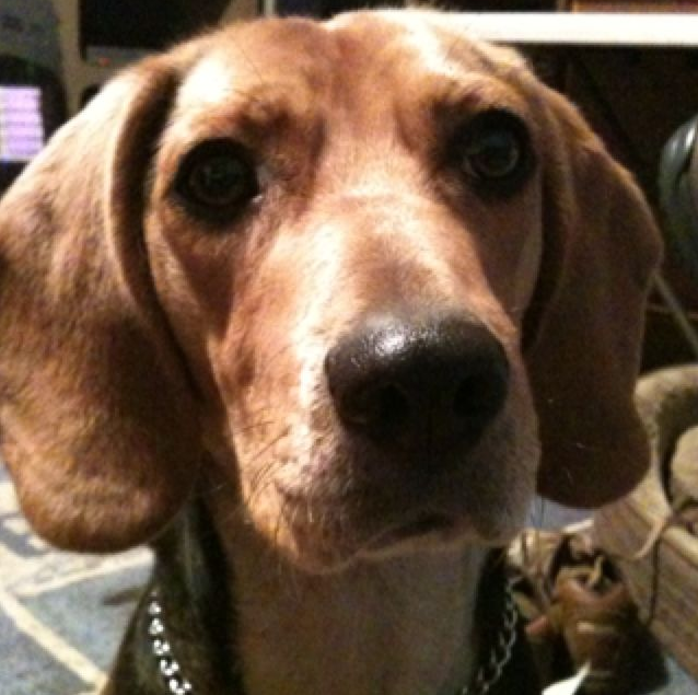 kikev777's profile picture. 