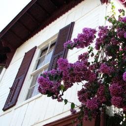 Büyükada Otel, adanın en güzel köşesinde muhteşem manzarasında sessizliği, huzuru, harika doğası, Türkiye'nin en romantik odaları ile sizlerin hizmetinde