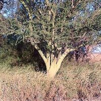 aleborta (@aleborta) 's Twitter Profile