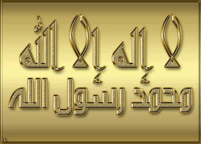 nabil66nsm's profile picture. 