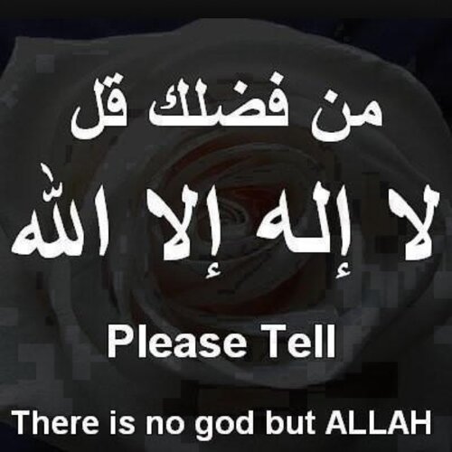 ’‘
خلك ثقيل وخل كلامك بـ مقياس
ما كل من يسمع همومك فزع لك
بعض البشر من حبها تقول لا باس
وبعض البشر من حقدها تبتسم لك ..~