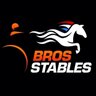 BrosStables's profile picture. breeding & racing 🇸🇪🇮🇹