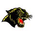 CCHS Athletics (@carrollcountyhs) Twitter profile photo CCHS Athletics (@carrollcountyhs) Twitter profile photo