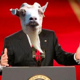 Goats are the new chickens and bees -- join me in getting Urban Goats legalized in St. Louis