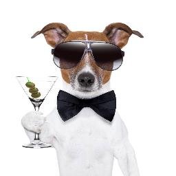 We believe in supporting canine #adoption  through networking, events, fundraising and community service and building a community who can learn from each other.