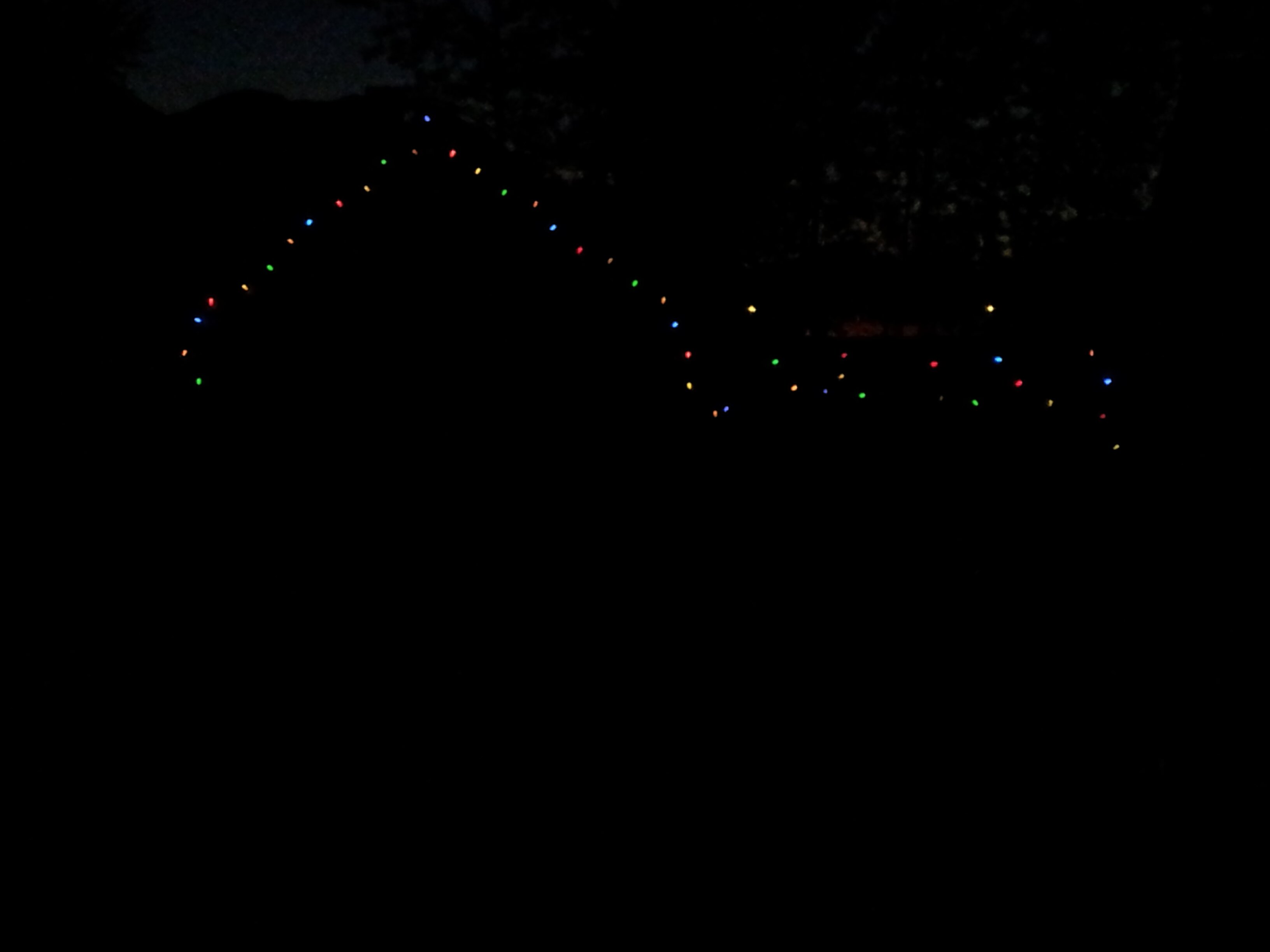 bungeeboo's profile picture. 