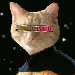 ArchdukeNecro's profile picture. Major Villain in the #Pawfleet Universe who travels now in a modified #LATKIS. Discoverer of #YarnBallPhysics. Friend to few. Dangerous to all.