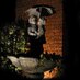 NiteLites Outdoor Lighting (@nitelitesinc) Twitter profile photo NiteLites Outdoor Lighting (@nitelitesinc) Twitter profile photo