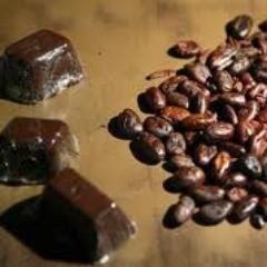 We're Cocoa for Mochas! Use Mochatte for the perfect homemade Mocha Latte. Single serving mocha powder made from organic  cocoa (cacao) beans. Bean to coffee.