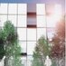 Vertical-Farm (@vertikalfarm) Twitter profile photo Vertical-Farm (@vertikalfarm) Twitter profile photo