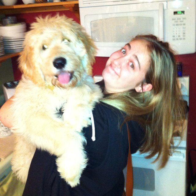 scaffidy's profile picture. Sometimes you just have to spit it out.