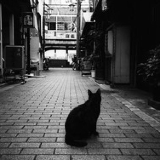 路地裏猫 Summons Beast Twitter 路地裏猫 Summons Beast Twitter
