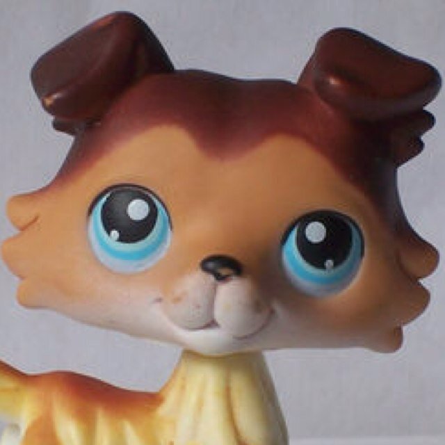 Hey! Its sage bond fron lps popular! I love my GF @officialsavv !!!!!! Follow her!