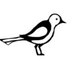 Mockingbird Pictures (@mockingbirdpics) Twitter profile photo