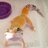 Yo_soy_Angy's profile image