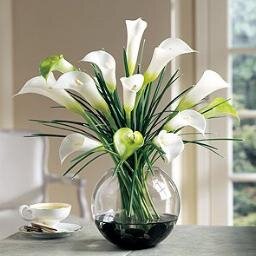 deepaksinh1's profile picture. 