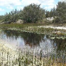 Interested in all things climate change adaptation and Coastal management. Adjunct Professor (NCCARF and ARI). Director Greencross Australia. Tweets are my own.