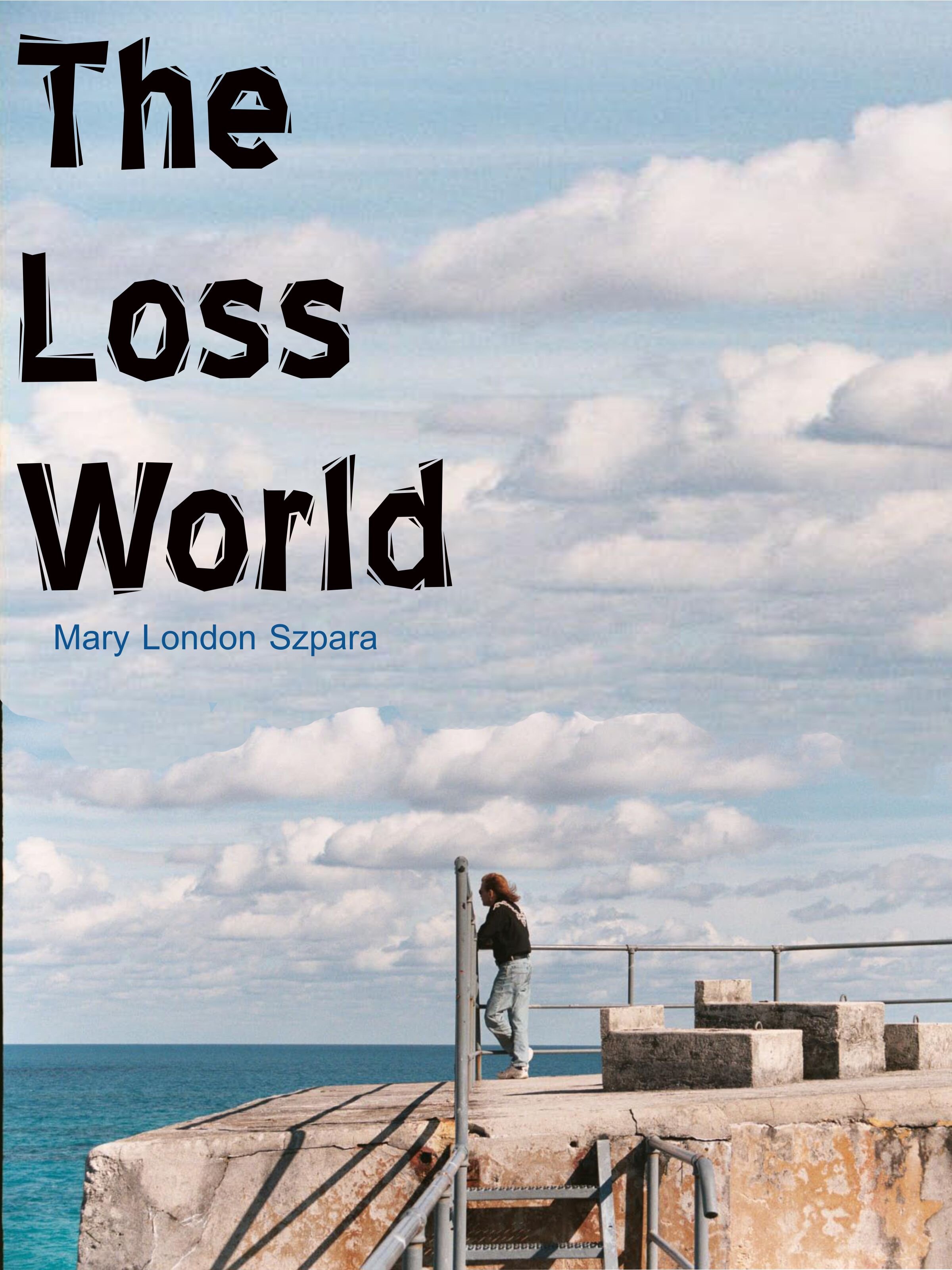 Book on grief, loss of spouse, hope : a love story unlike any other