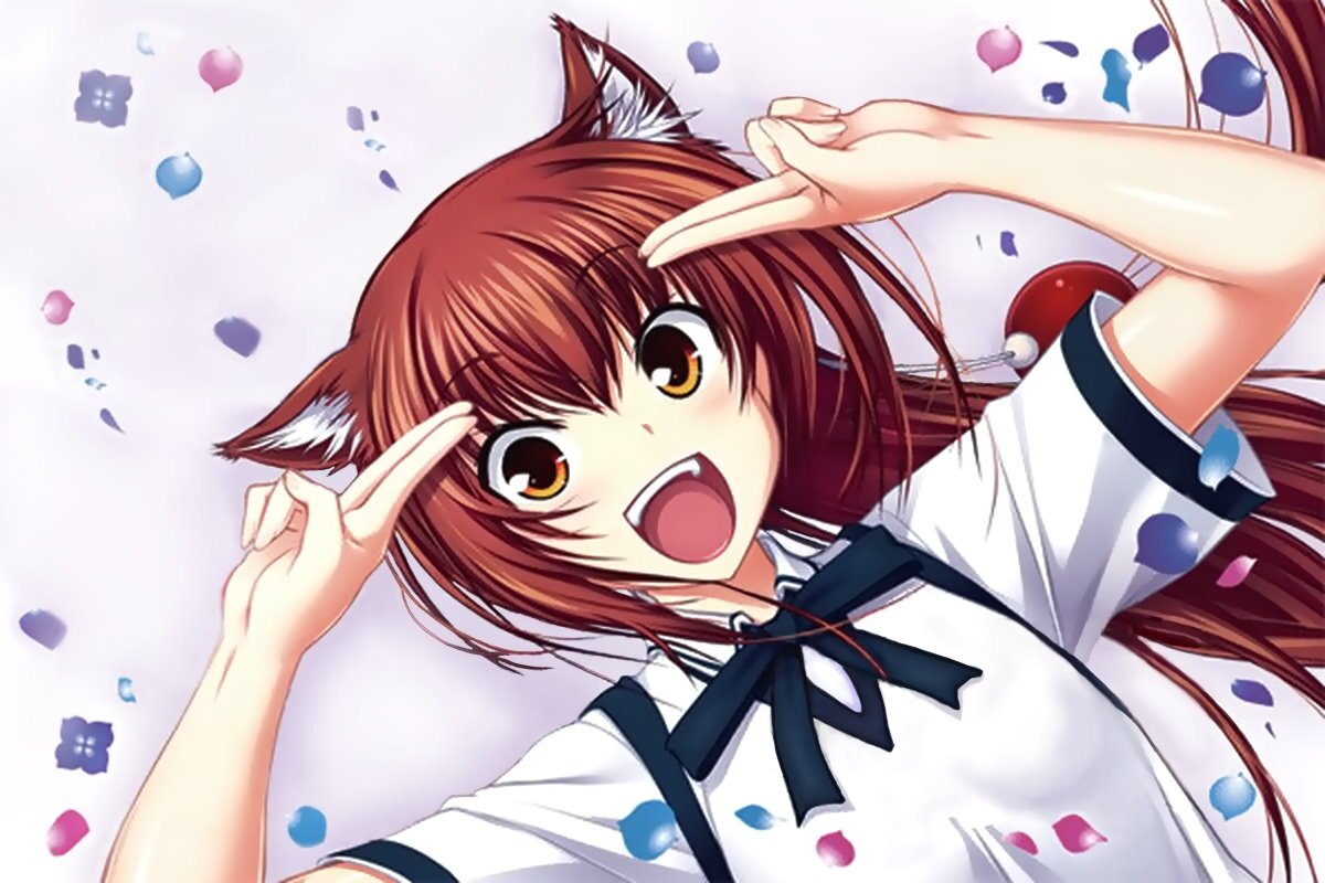八神 優斗さんのプロフィール画像