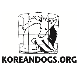 Koreandogsさんのプロフィール画像