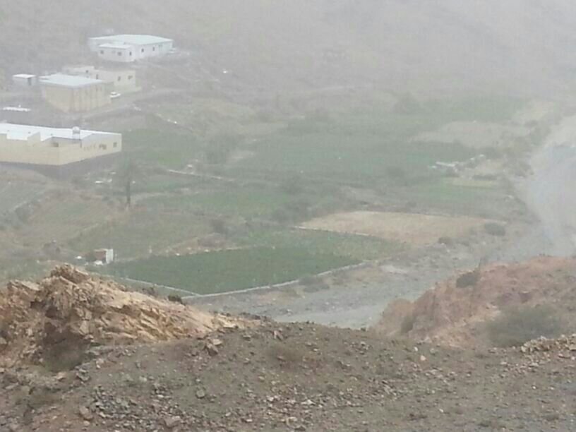 systemt78260389's profile picture. 