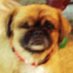 jabadasa (@bbon1379) Twitter profile photo
