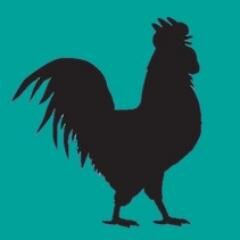 fashionrooster's profile picture. Once you wear a Radford T-Shirts by Fashion Rooster you'll never want to take it off!!!  I wear it when...