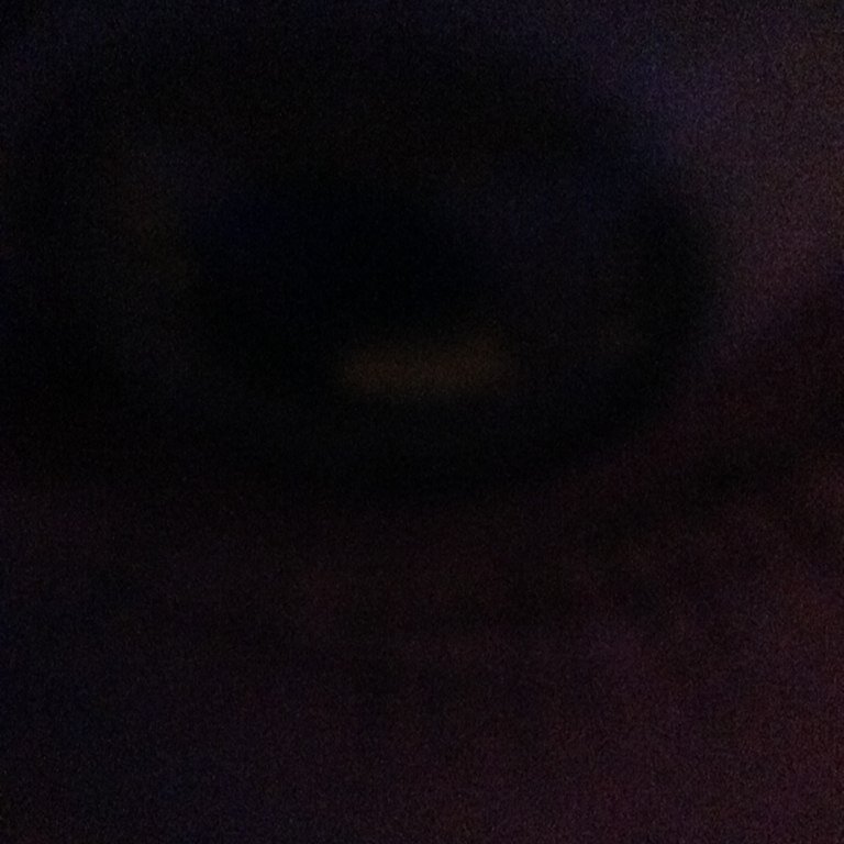 nicolecaetanoxo's profile picture. can u not