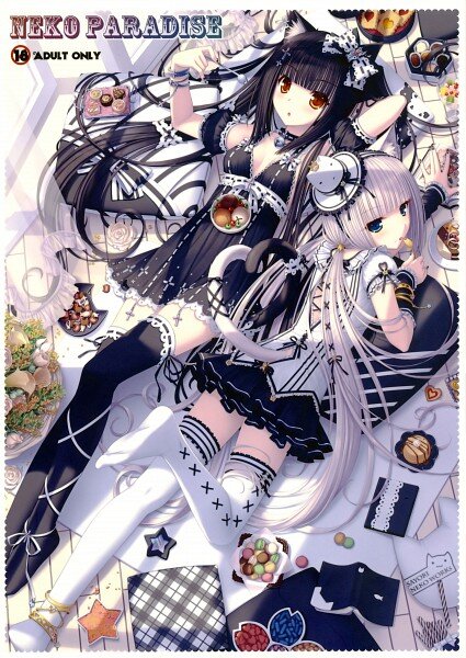 Raven is 18 #Taken by @Vampire__Eli and is a neko, she is half witch and twin sister is Mia #Single