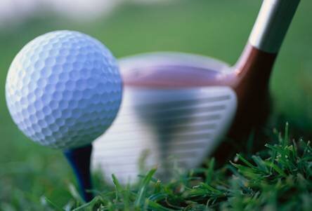 Family guy, Baltimore sports fan, golfer, xm channel 33, engineer