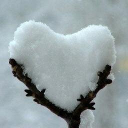 themuseamundo's profile picture. Follow themuse, if you are humble & honest with her, into a World, Crude Of Speech, Swift Of Action, Strong Of Passion -Straight to the heart of a new life