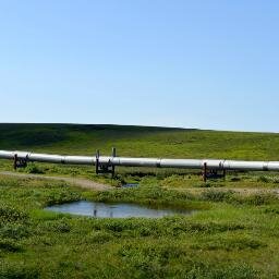 Developing and integrating emerging technology to help oil and gas operators significantly reduce environmental impact and line losses.