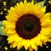 Linda Marie Richards (@atomiclinda) Twitter profile photo