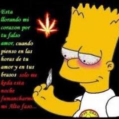 holaa que esperas para seguirme o que acaso vine al  pedo
