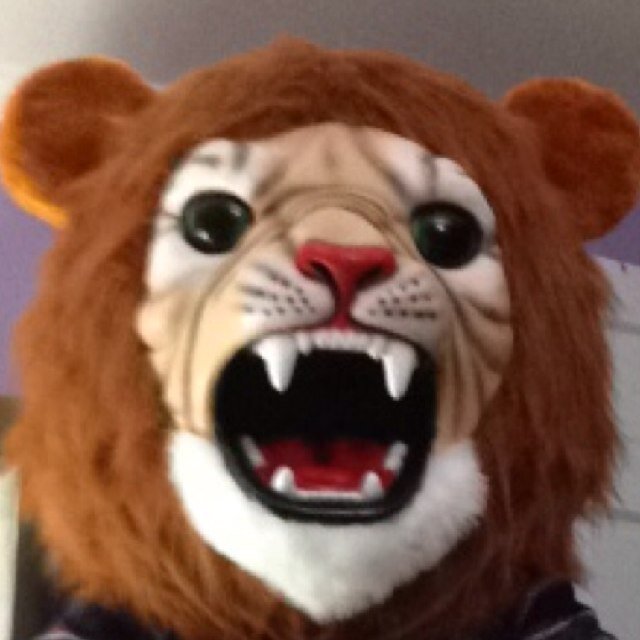 DulaneyCheerios Profile Picture