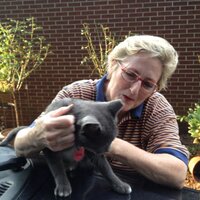 Kathy B. Gentry (@kathy_gentry) Twitter profile photo
